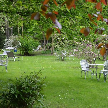 Hotel Villa Konigin Luise Bad Pyrmont Buitenkant foto